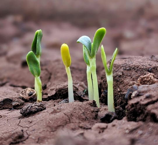 29 Experts Reveal Their Top 3 Recommendations to Grow Small Businesses
